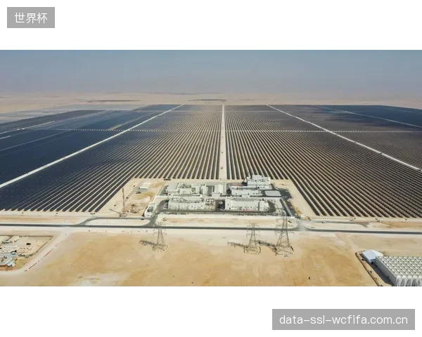 部分赛事的碳中和报告存在“报喜不报忧”现象,选择性披露掩盖了真实的减排困境 部分赛事的碳中和报告存在“报喜不报忧”现象,选择性披露掩盖了真实的减排困境