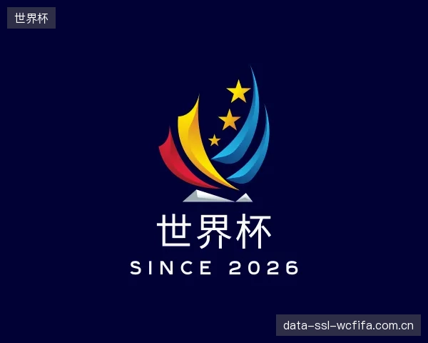 关于世界杯集团